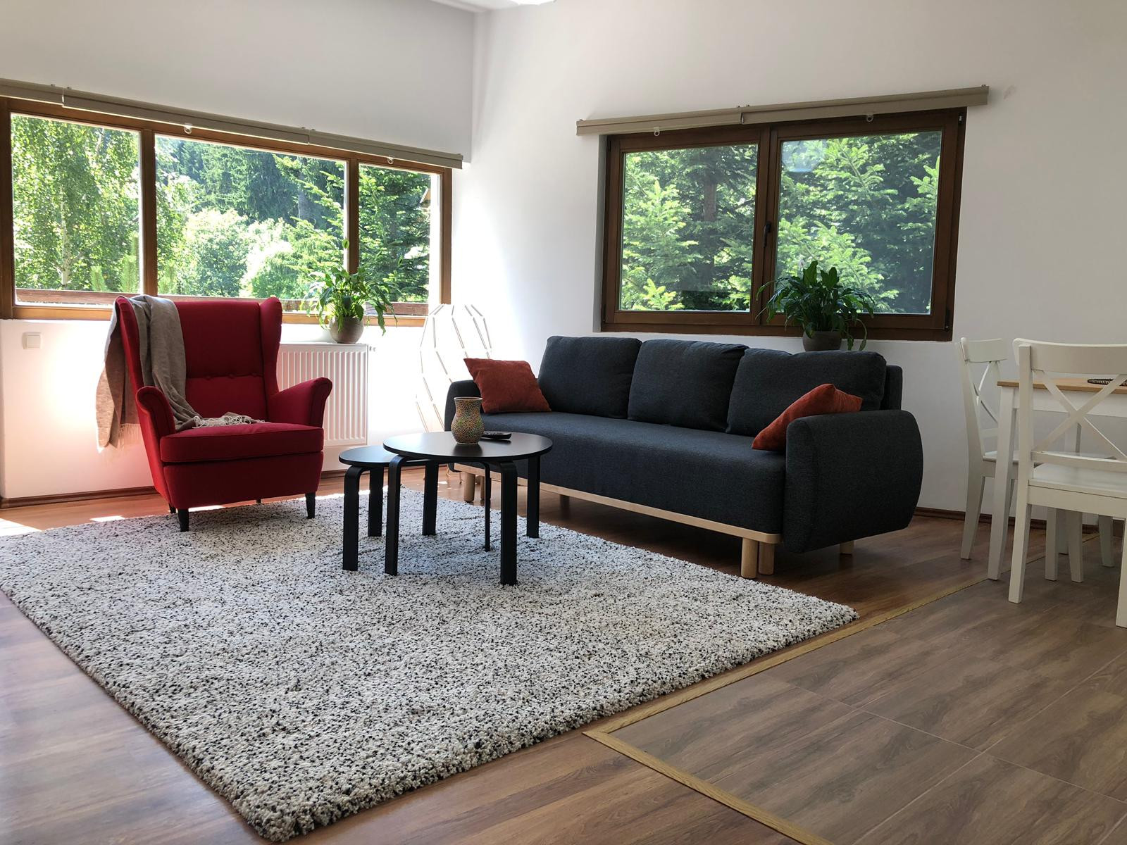 Forest 1.1 — Sinaia, Județul Prahova — vacation rental